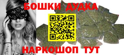 МДПВ Будённовск