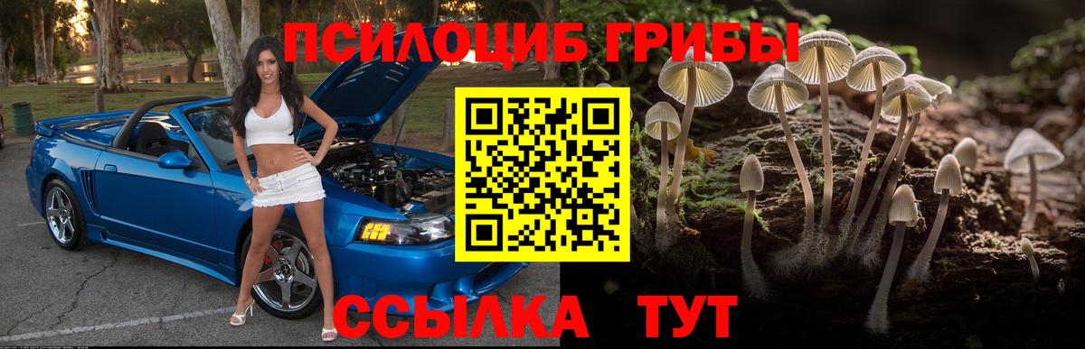 Псилоцибиновые грибы Psilocybe  Псилоцибиновые грибы Magic Shrooms  Вход с VPN  Кумертау 